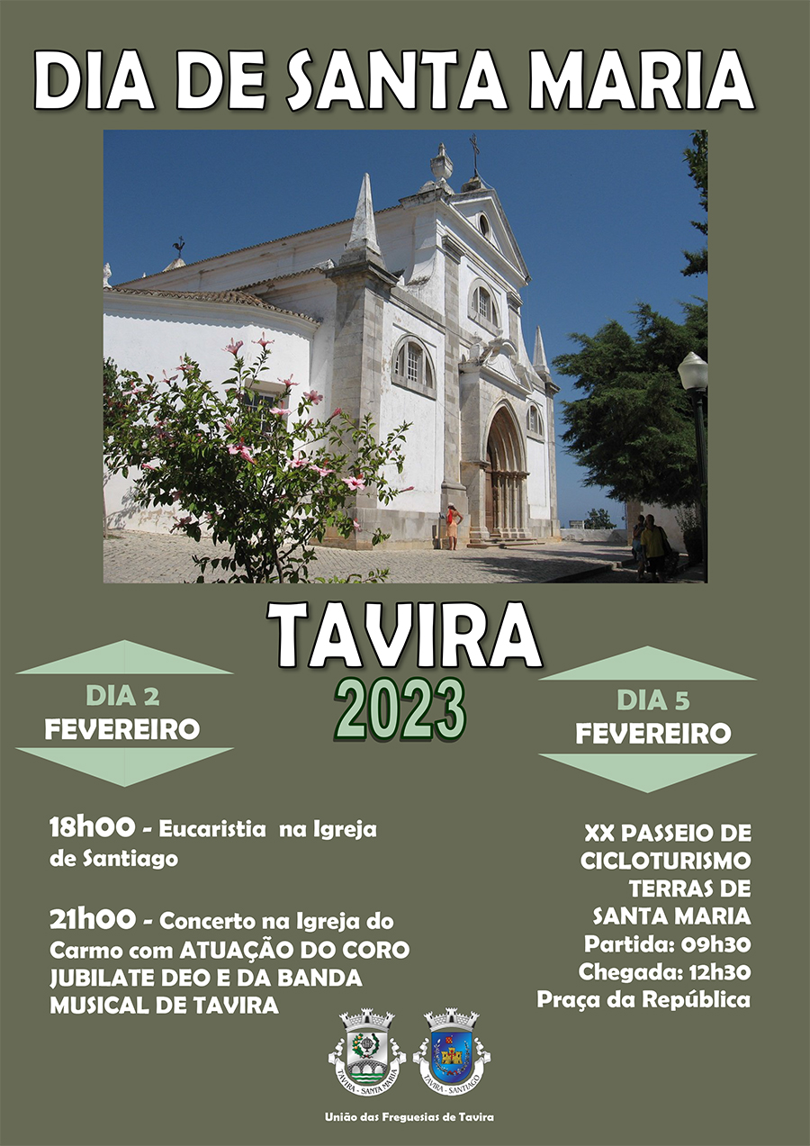 dia santa maria cartaz