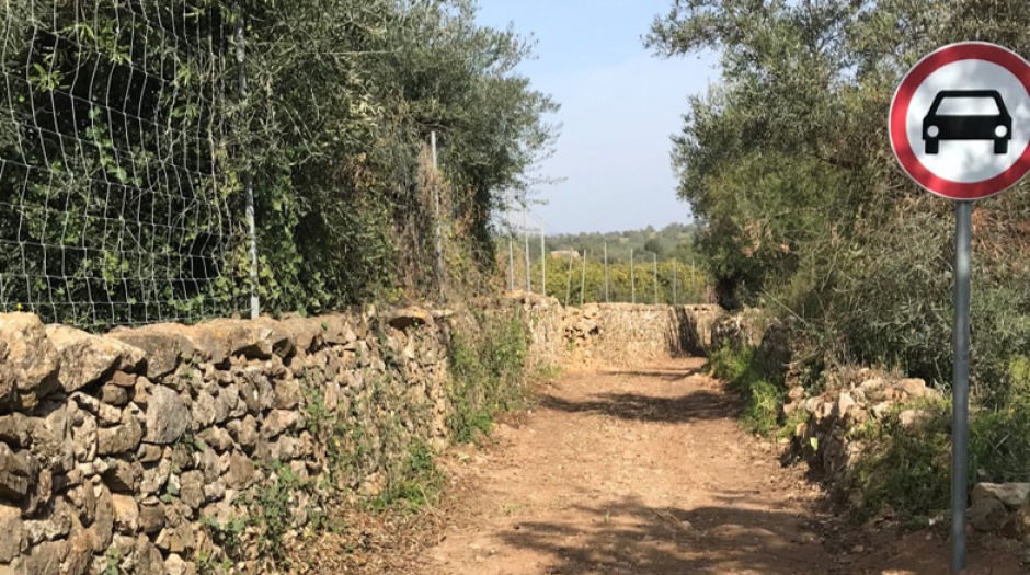 Intervenção no Caminho da Azinhaga de Cima